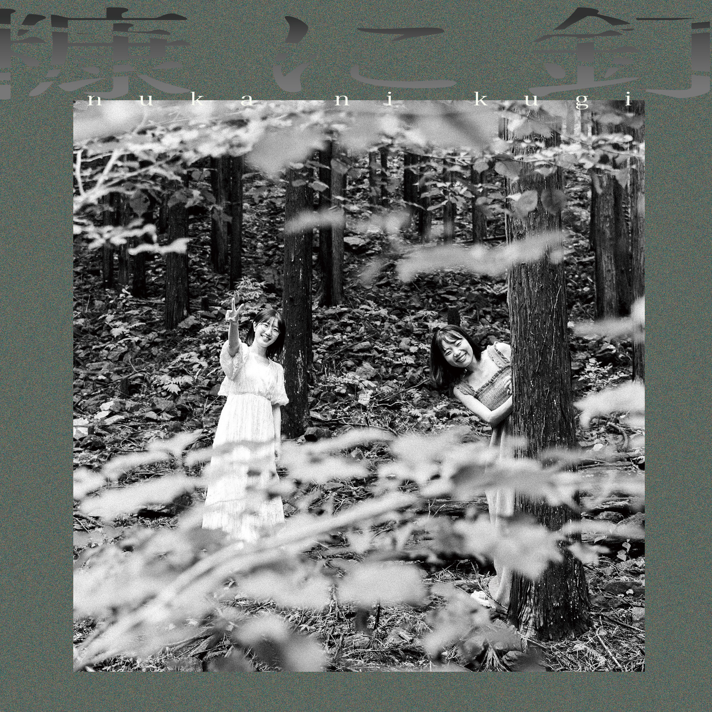 第12回本公演「糠に釘」